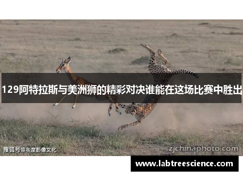 129阿特拉斯与美洲狮的精彩对决谁能在这场比赛中胜出