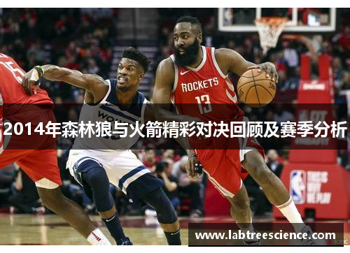 2014年森林狼与火箭精彩对决回顾及赛季分析