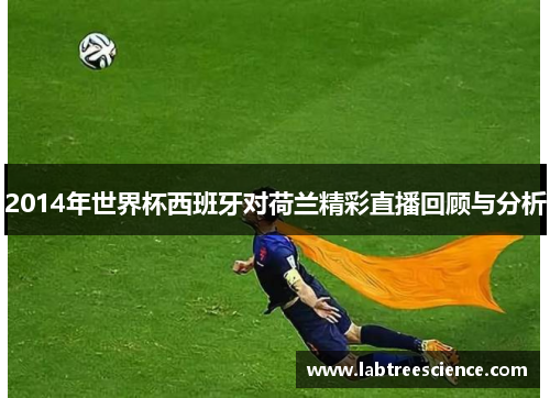 2014年世界杯西班牙对荷兰精彩直播回顾与分析