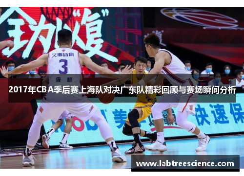 2017年CBA季后赛上海队对决广东队精彩回顾与赛场瞬间分析