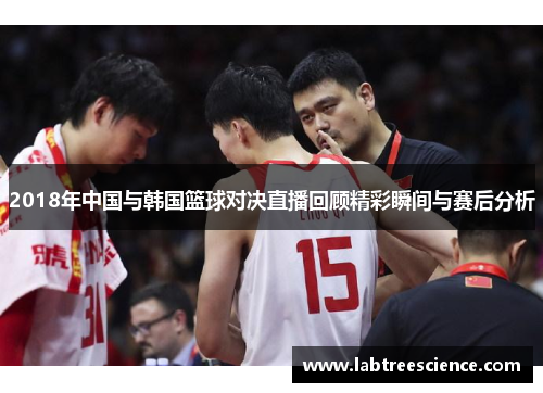 2018年中国与韩国篮球对决直播回顾精彩瞬间与赛后分析