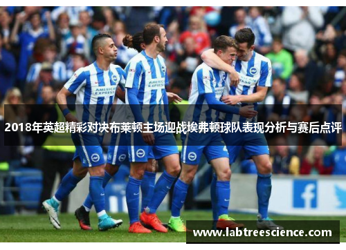 2018年英超精彩对决布莱顿主场迎战埃弗顿球队表现分析与赛后点评