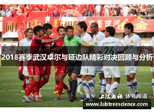 2018赛季武汉卓尔与延边队精彩对决回顾与分析