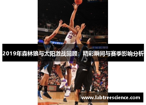 2019年森林狼与太阳激战回顾：精彩瞬间与赛季影响分析