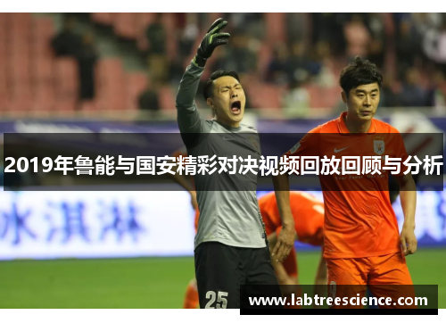 2019年鲁能与国安精彩对决视频回放回顾与分析