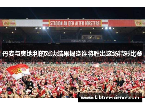 丹麦与奥地利的对决结果揭晓谁将胜出这场精彩比赛