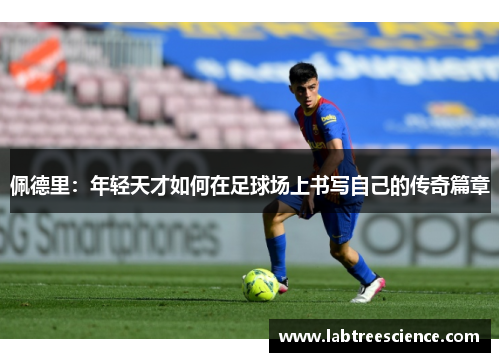 佩德里：年轻天才如何在足球场上书写自己的传奇篇章