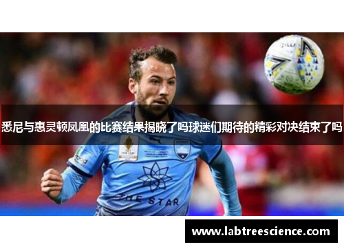悉尼与惠灵顿凤凰的比赛结果揭晓了吗球迷们期待的精彩对决结束了吗