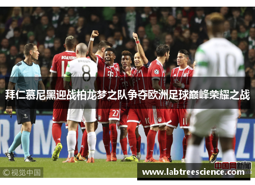 拜仁慕尼黑迎战柏龙梦之队争夺欧洲足球巅峰荣耀之战