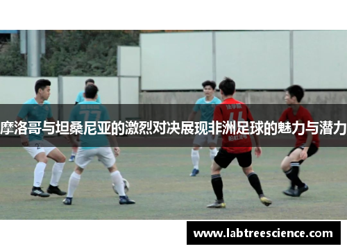 摩洛哥与坦桑尼亚的激烈对决展现非洲足球的魅力与潜力