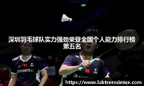 深圳羽毛球队实力强劲荣登全国个人能力排行榜第五名